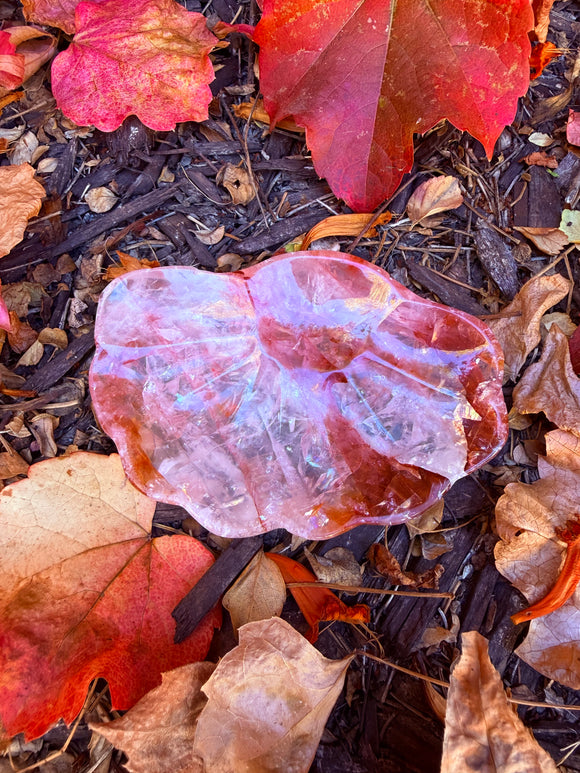 Fire Quartz Crystal Dish From Brazil #1