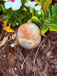 Polychrome Jasper From Madagascar #7