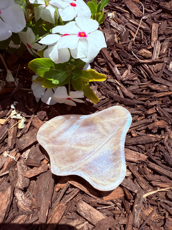 *RARE* Moonstone Crystal Bowl Blue Flash Charging Dish From Madagascar #2 Charged Under the New Moon in Cancer & Jupiter Cazimi 6/25/25