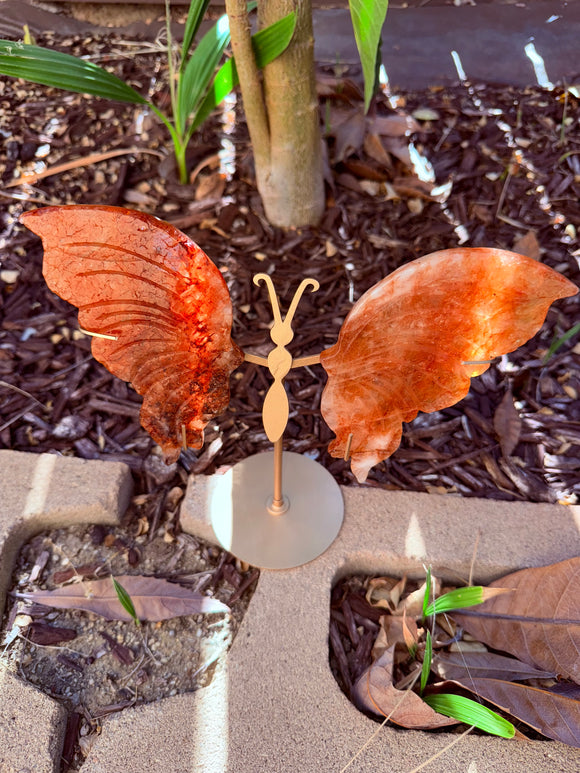 Fire Quartz Butterfly Crystal From Brazil #2