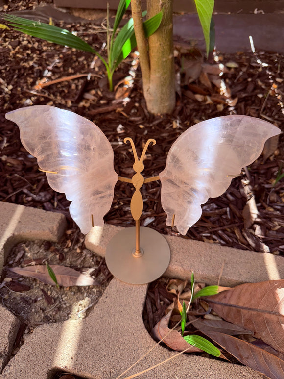 Rose Quartz Butterfly Crystal From Brazil #1