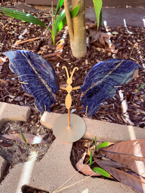 Lapis Lazuli Crystal Butterfly From Afghanistan