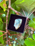 Picture Jasper Sterling Silver Crystal Adjustable Ring (6-7-8) Reiki Blessed By Queen