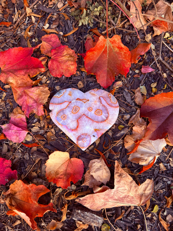 Red Moss Agate Heart Crystal From Brazil #19