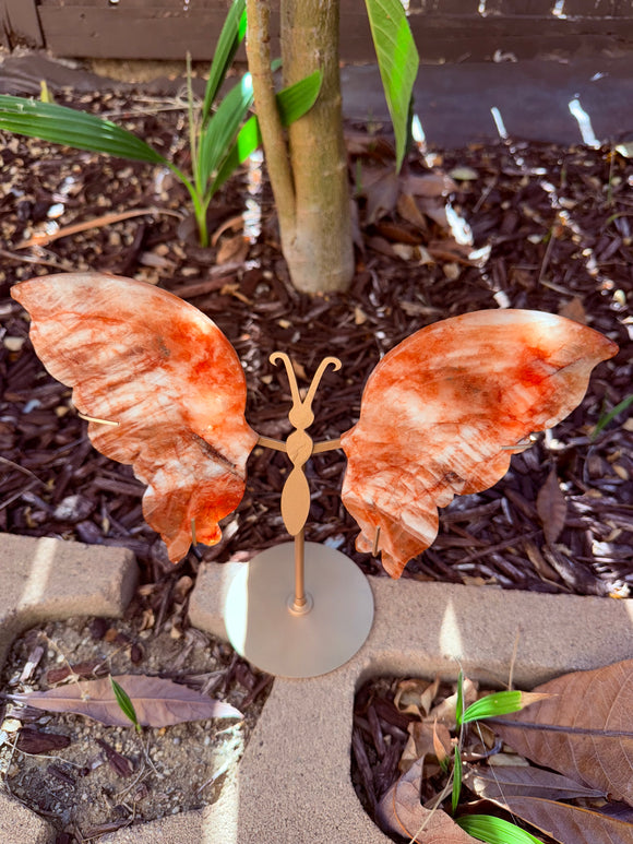 Fire Quartz Butterfly Crystal From Brazil #1