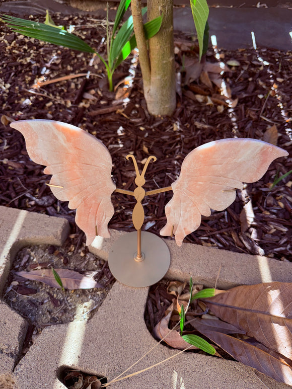 Pink Opal Butterfly Crystal From Australia