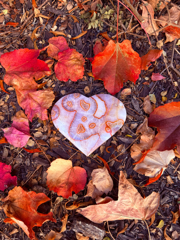 Red Moss Agate Heart Crystal From Brazil #18