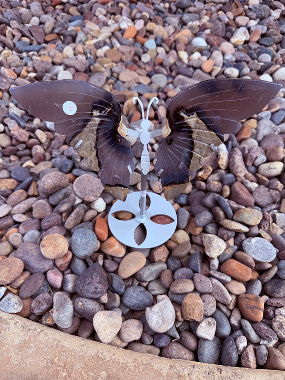 Volcanic Agate Crystal Butterfly Crystal #1 Reiki Blessed by Queen