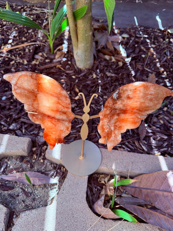 Fire Quartz Butterfly Crystal From Brazil #3