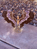 Super 7 Butterfly #2 From Brazil Moonlight Reiki Blessed by Queen