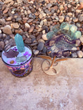 Clear Mental Fog & Mental Tension Crystal Candle & Rainbow Fluorite Sunflower Reiki Blessed by Queen