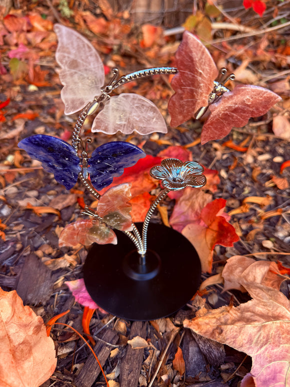 Crystal Butterfly Set #3 From Brazil Reiki Blessed by Queen