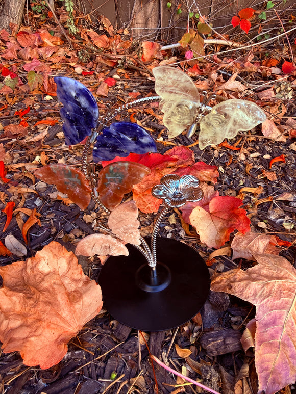 Crystal Butterfly Set #6 From Brazil Reiki Blessed by Queen