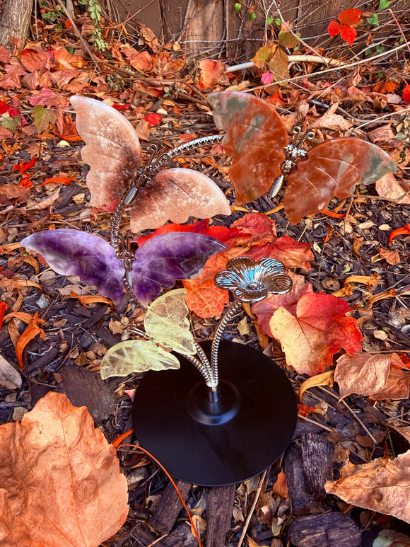 Crystal Butterfly Set #9 From Brazil Reiki Blessed by Queen