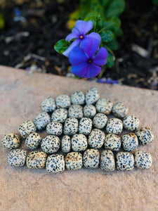 Dalmatian Jasper Crystal