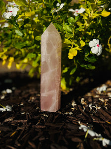 Rose Quartz Crystal Tower from Brazil #2 - Only 1 Available