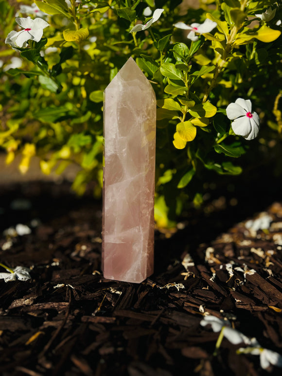 Rose Quartz Crystal Tower from Brazil #2 - Only 1 Available