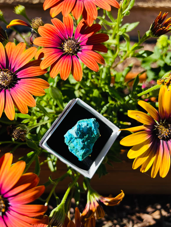 Chrysocolla Crystal Adjustable Ring From Africa - Only 1 Available