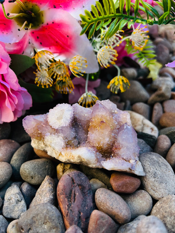 Spirit Quartz Crystal Cluster #1 From South Africa Reiki blessed by Queen