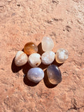 Flower Agate Crystal From Madagascar Moonlight Reiki Blessed by Queen