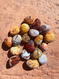 Crazy Lace Agate Crystal "Laughter & Mental Agility" From Mexico Moonlight Reiki Blessed by Queen