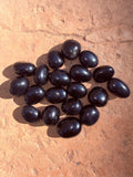 Apache Tears "Grief" Crystal From Mexico Moonlight Reiki Blessed by Queen