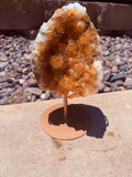 Citrine "Abundance & Prosperity" Druzy Crystal #11 From Brazil Moonlight Reiki Blessed by Queen