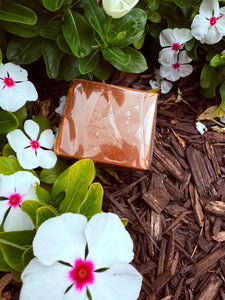 Turmeric Soap "Dark Spots Be Gone" 2" x 3" infused with Therapeutic Essential Oils & Reiki blessed by Queen