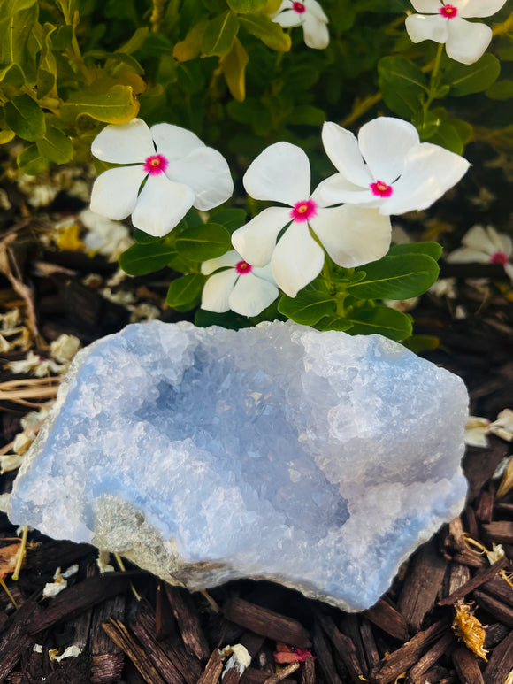 Blue Lace Agate Crystal Specimen #2 From South Africa - Only 1 Available