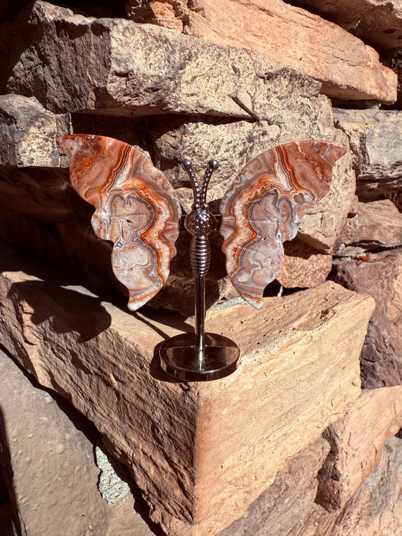 Crazy Lace Agate Crystal Butterfly Reiki Blessed by Queen