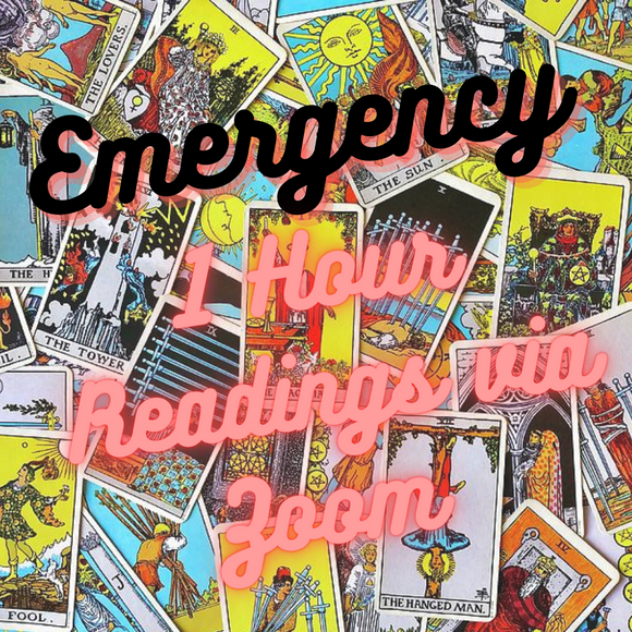 Emergency Zoom Reading - 1 Hour